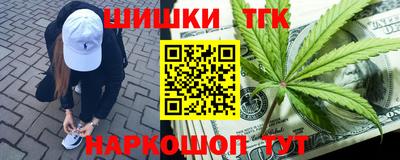 гидра Можга