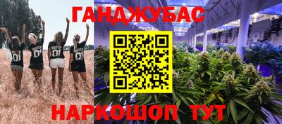 шишки Моздок