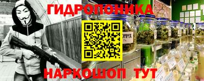 гидра Можга
