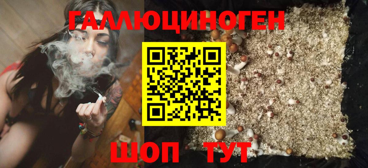 Галлюциногенные грибы Psilocybine cubensis Унеча